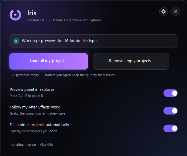 The Iris window: status, load-all button and switches
